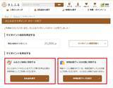 「さとふる、復興支援・文化継承につながる地域応援グッズの販売を開始」の画像6