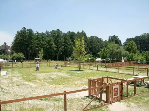 「春のおでかけは、愛犬と那須塩原へ。那須千本松牧場、グランドオープン1周年 桜の中の無料撮影会＆ワンちゃんマルシェ開催」の画像