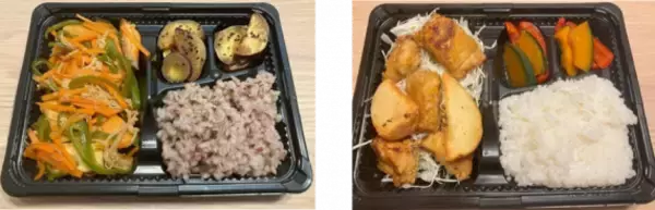 「腸活をもっと日常に！「腸活弁当プロジェクト」　健康維持に役立つ腸活を科学的に評価、摂南大学とプリメディカによる共同研究」の画像
