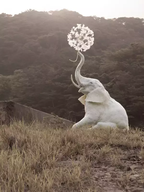 「【京都 蔦屋書店】それぞれの表現で輝く女性作家5人のグループ展「PURE HER」を2月7日（土）より開催。杉山歩/Bibi Lei/Moeco/Nes Satomi/Terumi Ohta が出展。」の画像