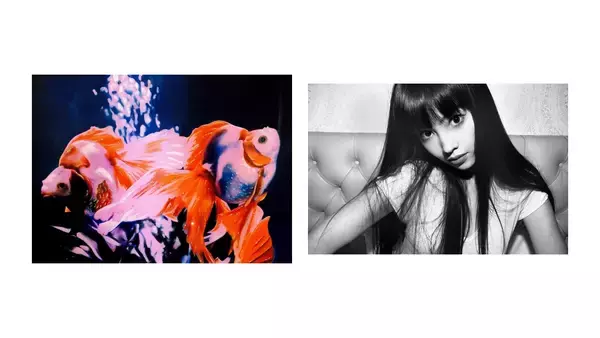 「【京都 蔦屋書店】それぞれの表現で輝く女性作家5人のグループ展「PURE HER」を2月7日（土）より開催。杉山歩/Bibi Lei/Moeco/Nes Satomi/Terumi Ohta が出展。」の画像