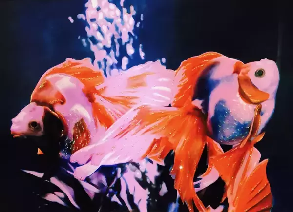 「【京都 蔦屋書店】それぞれの表現で輝く女性作家5人のグループ展「PURE HER」を2月7日（土）より開催。杉山歩/Bibi Lei/Moeco/Nes Satomi/Terumi Ohta が出展。」の画像