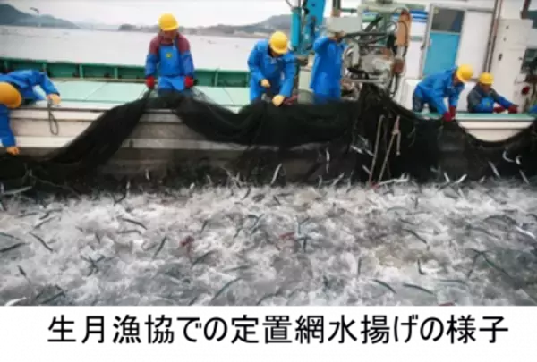 「あごが落ちるほど美味しい「長崎県平戸あごフェア in 羽田産直館」を開催」の画像