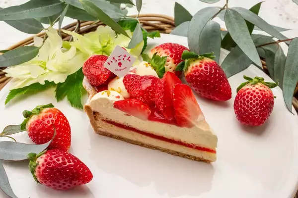 「【キル フェ ボン】 コラボレーション企画『いちごさんどう2026』 佐賀県のブランドイチゴ“いちごさん”×キル フェ ボン青山　新作「金平糖型 佐賀県産“いちごさん”フレジエのタルト」登場！」の画像