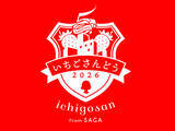 「【キル フェ ボン】 コラボレーション企画『いちごさんどう2026』 佐賀県のブランドイチゴ“いちごさん”×キル フェ ボン青山　新作「金平糖型 佐賀県産“いちごさん”フレジエのタルト」登場！」の画像4