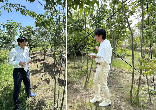 「「庭でキャンプと焚火を楽しむ」～日常の喧騒を忘れ、まるで森の中にたたずむ理想の住まい～」の画像