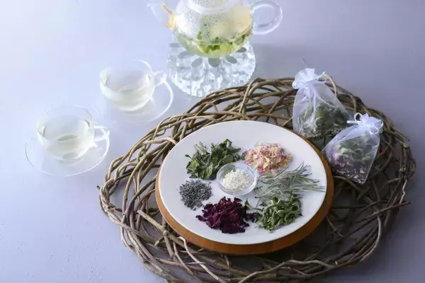 「【軽井沢マリオットホテル】温泉と発酵、春の軽井沢散策で心身を整えるウェルネス旅宿泊プラン「Karuizawa Wellness Retreat」を発売」の画像