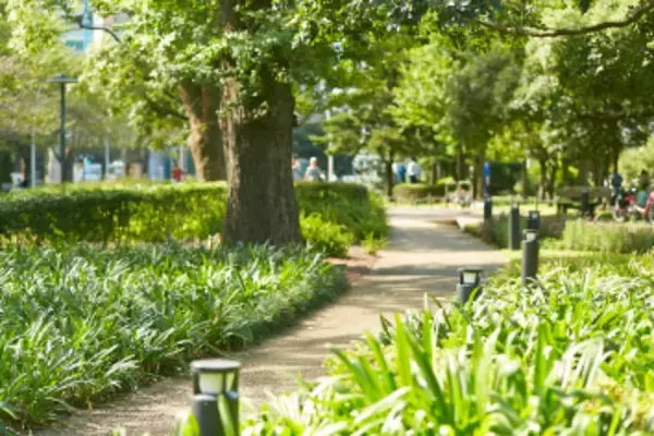 「【東京ミッドタウン】都会の緑豊かな芝生広場でのんびりピクニックを満喫！「MIDTOWN OPEN THE PARK 2026」」の画像