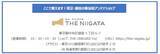 「「銀座・新潟情報館 THE NIIGATA」がオープンして1年半　新潟のアンテナショップから人気商品ランキングを発表」の画像24