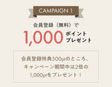 「猫壱公式オンラインストアがオープン！新規会員登録で1,000円相当ポイントが必ずもらえるキャンペーンを実施（期間限定：〜3/12）」の画像3