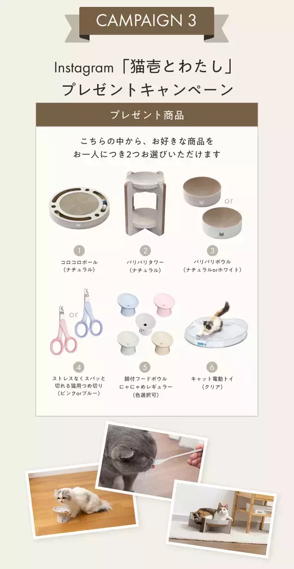 「猫壱公式オンラインストアがオープン！新規会員登録で1,000円相当ポイントが必ずもらえるキャンペーンを実施（期間限定：〜3/12）」の画像