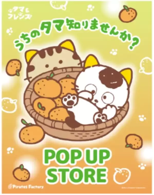 「【2月22日 猫の日】京王百貨店新宿店では「Keio Cat Weeks」を開催します。人気の猫写真家とのコラボレーション企画や猫モチーフの菓子・アイテムが集結！」の画像