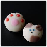 「【2月22日 猫の日】京王百貨店新宿店では「Keio Cat Weeks」を開催します。人気の猫写真家とのコラボレーション企画や猫モチーフの菓子・アイテムが集結！」の画像6