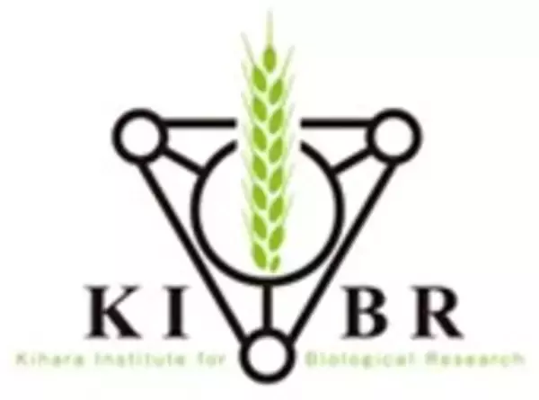 「アクチン繊維が花粉管の誘引を制御する」の画像