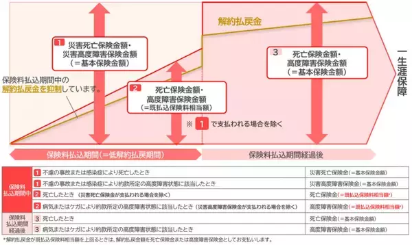 「【オリックス生命保険】割安な保険料と高い貯蓄性を備えた死亡保険「円建終身保険Yen Can」を発売」の画像