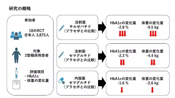 日本人 2 型糖尿病患者における新規 GLP-1 受容体関連薬の治療効果の違いを明らかに