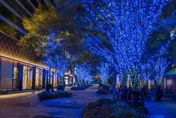 「旬のいちごとチョコレートが奏でる、季節限定のデザートフェア東京ミッドタウン日比谷で楽しむ「SWEET STRAWBERRY & RICH CHOCOLATE 2026」開催」の画像