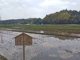 「【玉川高島屋S.C.】6月のSDGs月間に向けた取り組み　日常の中で参加できる循環アクションを今年も継続展開」の画像6