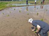 「【玉川高島屋S.C.】6月のSDGs月間に向けた取り組み　日常の中で参加できる循環アクションを今年も継続展開」の画像7