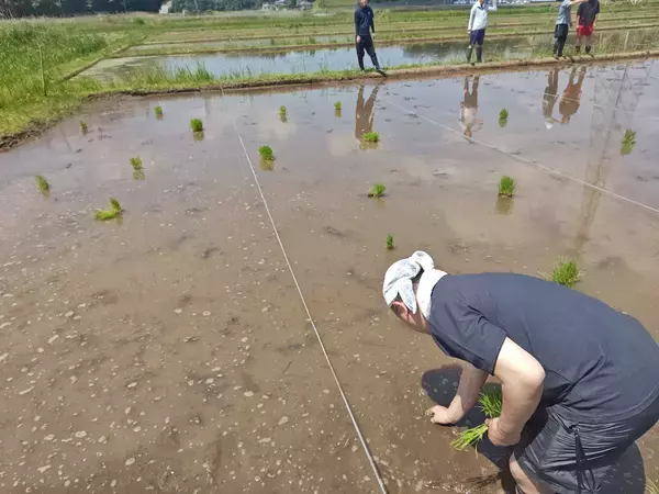 「【玉川高島屋S.C.】6月のSDGs月間に向けた取り組み　日常の中で参加できる循環アクションを今年も継続展開」の画像