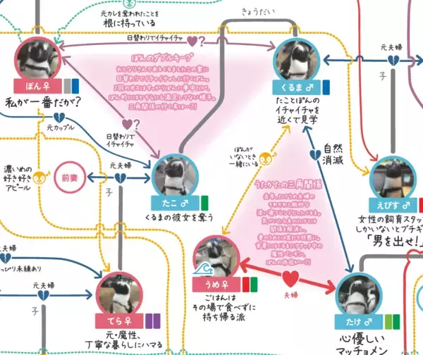 「【京都水族館】ペンギンたちの関係性を最新版にアップデート!「京都ペンギン相関図2026」を公開」の画像