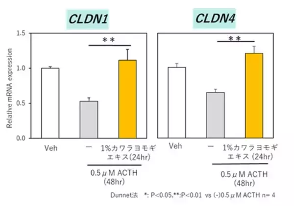「カワラヨモギエキスがストレスによる皮膚バリア機能低下を抑制。「第3回日本化粧品技術者会学術大会」にて最新研究成果を口頭発表」の画像