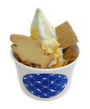 「【すみだ水族館】新エリア「小笠原」&新常設展示「オガサワラベース」がついにオープン9月30日より公開記念プログラムを開催」の画像10