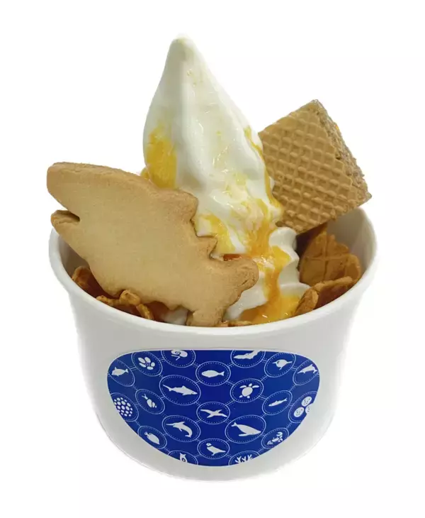 「【すみだ水族館】新エリア「小笠原」&新常設展示「オガサワラベース」がついにオープン9月30日より公開記念プログラムを開催」の画像