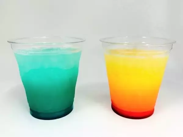 「【すみだ水族館】新エリア「小笠原」&新常設展示「オガサワラベース」がついにオープン9月30日より公開記念プログラムを開催」の画像