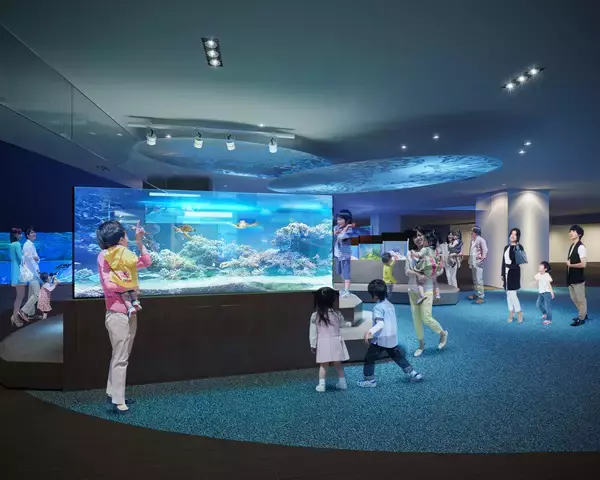 「【すみだ水族館】新エリア「小笠原」&新常設展示「オガサワラベース」がついにオープン9月30日より公開記念プログラムを開催」の画像