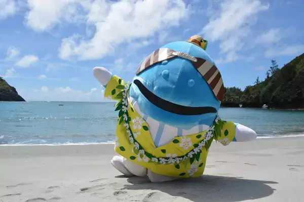 「【すみだ水族館】新エリア「小笠原」&新常設展示「オガサワラベース」がついにオープン9月30日より公開記念プログラムを開催」の画像