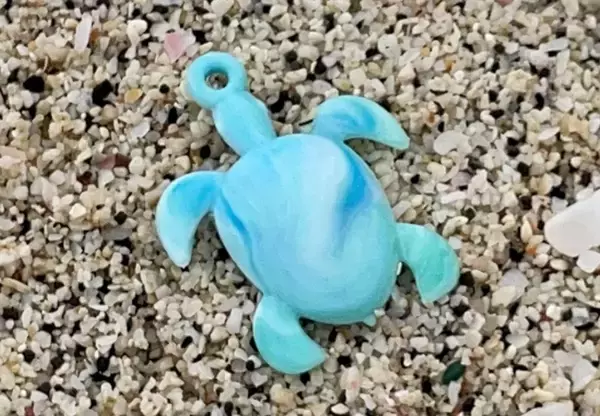 「【すみだ水族館】新エリア「小笠原」&新常設展示「オガサワラベース」がついにオープン9月30日より公開記念プログラムを開催」の画像