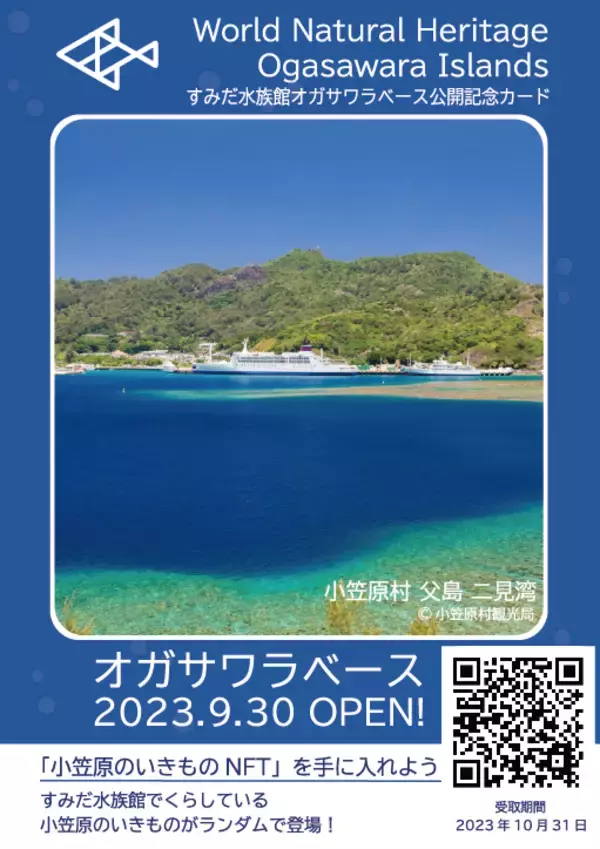 「【すみだ水族館】新エリア「小笠原」&新常設展示「オガサワラベース」がついにオープン9月30日より公開記念プログラムを開催」の画像