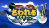 「【すみだ水族館】新エリア「小笠原」&新常設展示「オガサワラベース」がついにオープン9月30日より公開記念プログラムを開催」の画像9