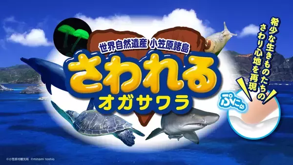 「【すみだ水族館】新エリア「小笠原」&新常設展示「オガサワラベース」がついにオープン9月30日より公開記念プログラムを開催」の画像