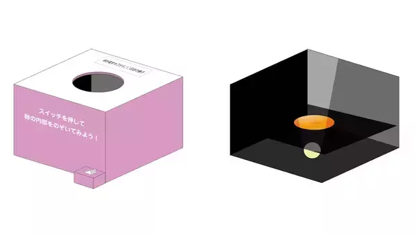 「【京都水族館】京都水族館のペンギンが生まれるまでを深掘り!特別展示「大きくなってね!ケープペンギン」開催」の画像