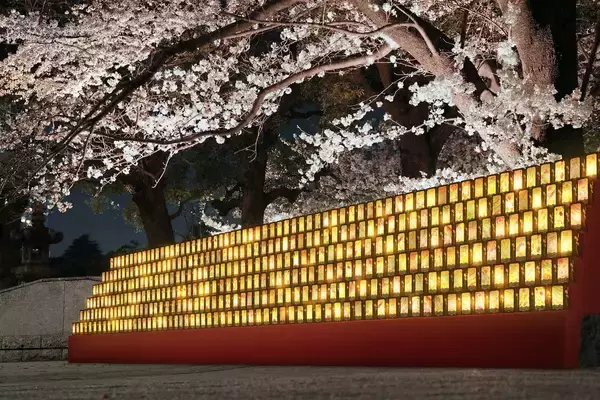 「【森トラスト】「御殿山さくらまつり 2026」3/27(金)～4/5(日)開催」の画像