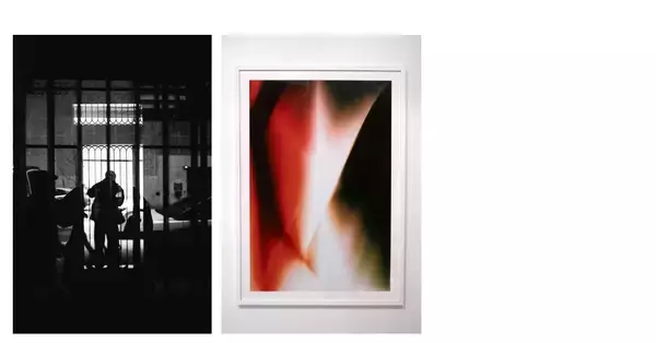 「【京都 蔦屋書店】美術家・山口歴のスタジオGOLDWOOD ARTWORKSの中西伶、入江広基、サトウリホミ、平野啄也による「GROUP SHOW 2026」を2月20日（金）より開催。」の画像