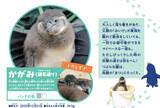 「【京都水族館】ケープペンギンのヒナ2羽「かがみ」と「みその」に決定!」の画像5