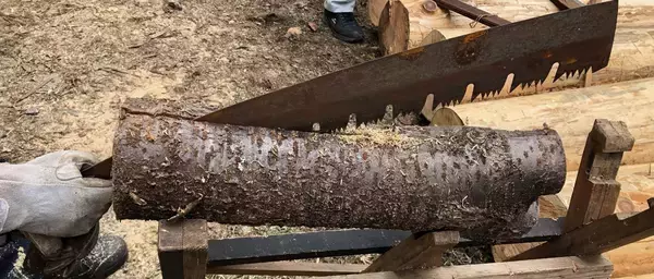 「「高尾の森 親子森林体験スクール」開催３月２日（月）から小学４年生～中学生までの親子３０名を募集」の画像