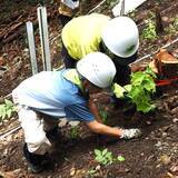 「「高尾の森 親子森林体験スクール」開催３月２日（月）から小学４年生～中学生までの親子３０名を募集」の画像5