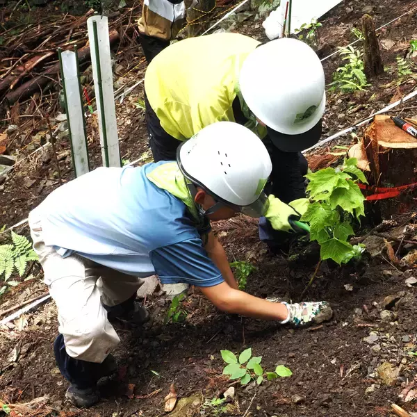 「「高尾の森 親子森林体験スクール」開催３月２日（月）から小学４年生～中学生までの親子３０名を募集」の画像