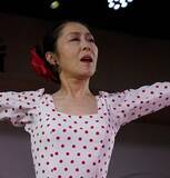 「成城大学　文芸学部創設70周年記念事業」の画像1