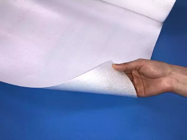 「ハイケムとリコー、超臨界二酸化炭素を用いた高分子量PLA量産化の共同開発を開始」の画像