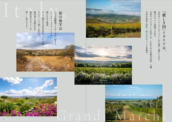 「【美術出版社】『Winart』2026年春号「イタリア　グランディ・マルキ　麗しき18ワイナリーを巡る、中部〜南部、島編」が3月5日（木）に発売。」の画像