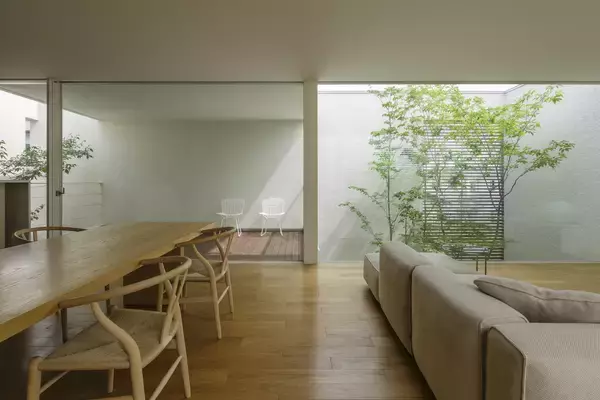 「窓の向こうに広がる「自分だけの森」〜自然と溶け合う暮らしが、心を健やかにする〜」の画像