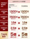「ドコモSMTBネット銀行、「ドコモの銀行誕生祭　最大10億ポイント山分けキャンペーン」を開始」の画像2