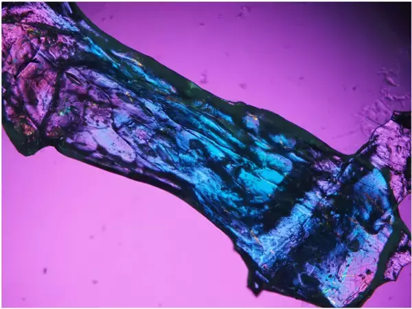 海の宝石に着想得た新発光材料を開発 集まると光り、力加減で光の強さが変化--大阪工業大学