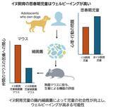 「【麻布大学】イヌを飼育する児童の幸福度の上昇には細菌叢の変化が関与」の画像2