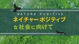 「生物多様性の未来を考える「ネイチャーポジティブな社会に向けて」オンライン講座３月14日（金）より開講！」の画像1